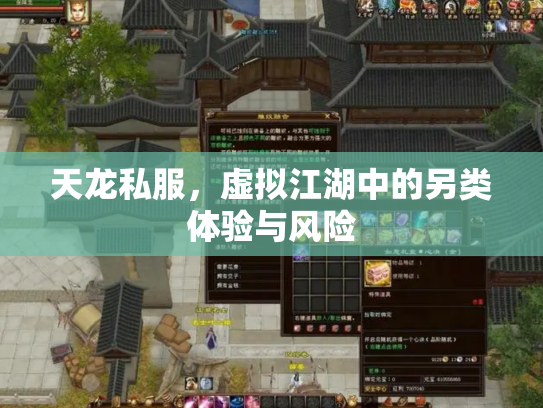 天龙私服，虚拟江湖中的另类体验与风险