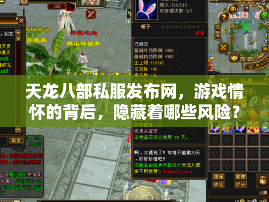 天龙八部私服发布网，游戏情怀的背后，隐藏着哪些风险？