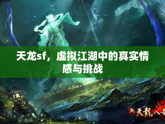 天龙sf，虚拟江湖中的真实情感与挑战