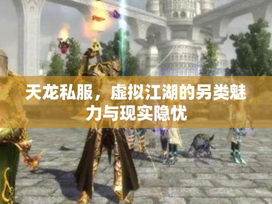 天龙私服，虚拟江湖的另类魅力与现实隐忧