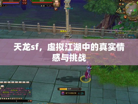 天龙sf，虚拟江湖中的真实情感与挑战