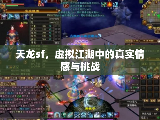 天龙sf，虚拟江湖中的真实情感与挑战
