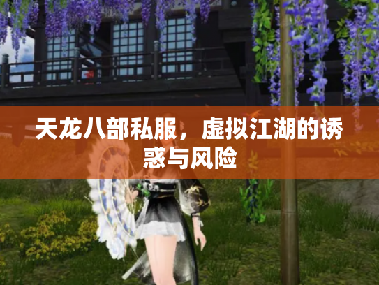 天龙八部私服，虚拟江湖的诱惑与风险