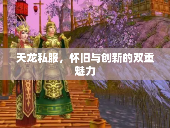 天龙私服，怀旧与创新的双重魅力