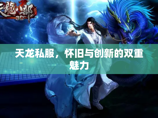 天龙私服，怀旧与创新的双重魅力