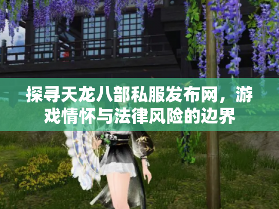 探寻天龙八部私服发布网，游戏情怀与法律风险的边界