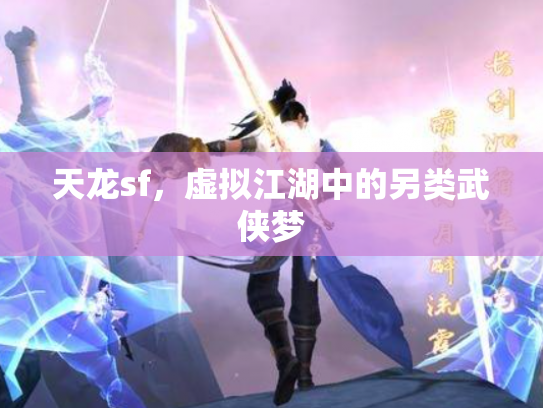 天龙sf，虚拟江湖中的另类武侠梦