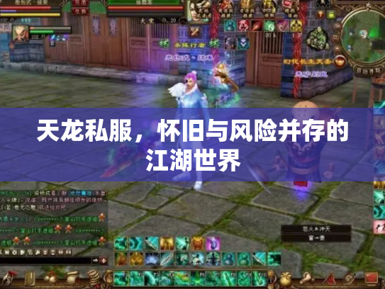 天龙私服，怀旧与风险并存的江湖世界