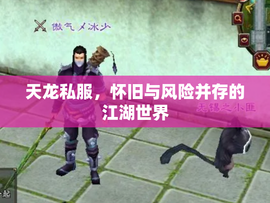 天龙私服，怀旧与风险并存的江湖世界