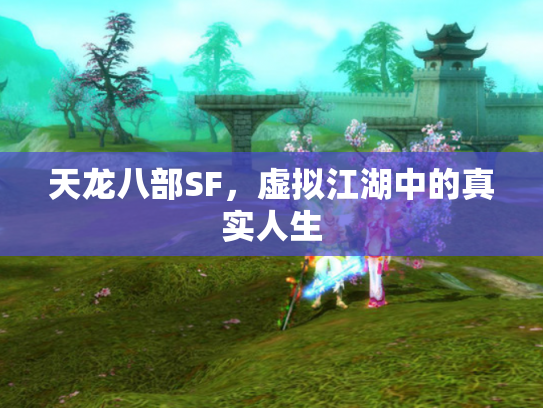 天龙八部SF，虚拟江湖中的真实人生