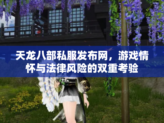 天龙八部私服发布网，游戏情怀与法律风险的双重考验