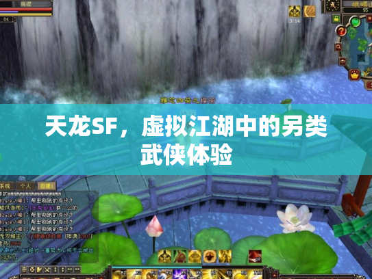 天龙SF，虚拟江湖中的另类武侠体验