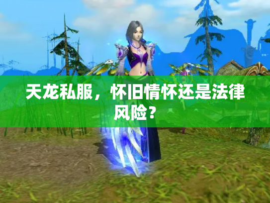 天龙私服，怀旧情怀还是法律风险？
