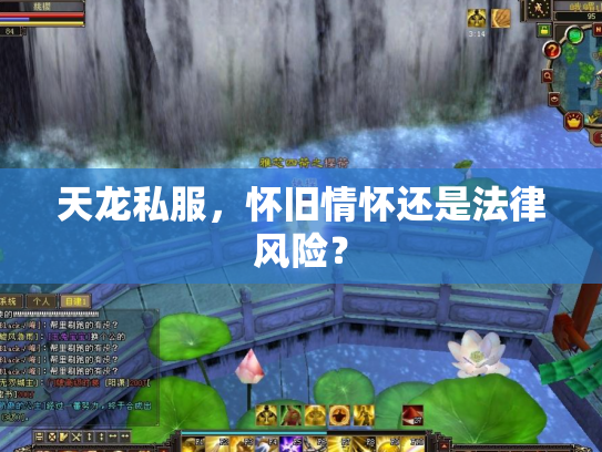 天龙私服，怀旧情怀还是法律风险？