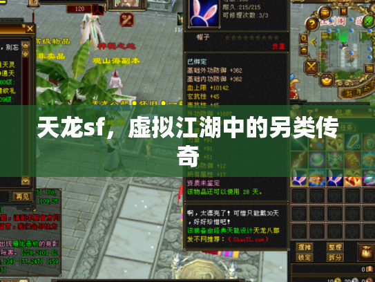 天龙sf，虚拟江湖中的另类传奇
