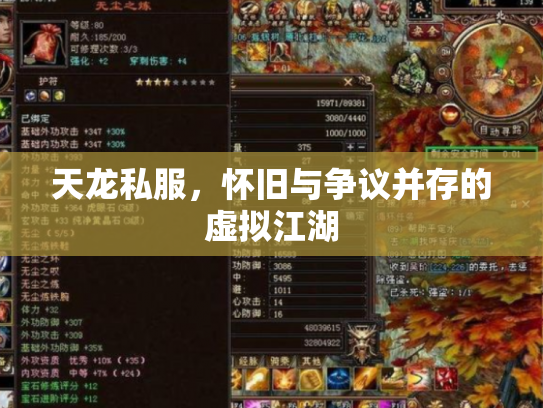 天龙私服，怀旧与争议并存的虚拟江湖