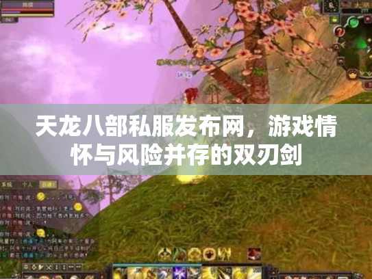 天龙八部私服发布网，游戏情怀与风险并存的双刃剑