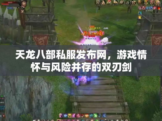 天龙八部私服发布网，游戏情怀与风险并存的双刃剑