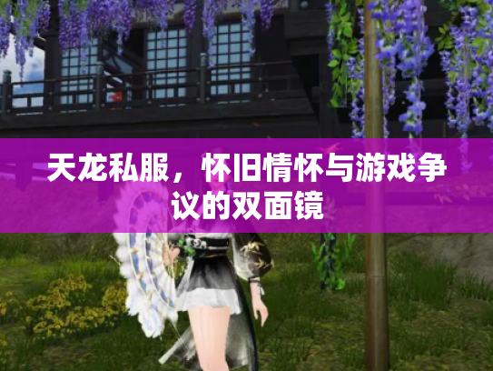 天龙私服，怀旧情怀与游戏争议的双面镜