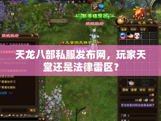 天龙八部私服发布网，玩家天堂还是法律雷区？