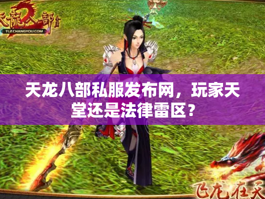 天龙八部私服发布网，玩家天堂还是法律雷区？