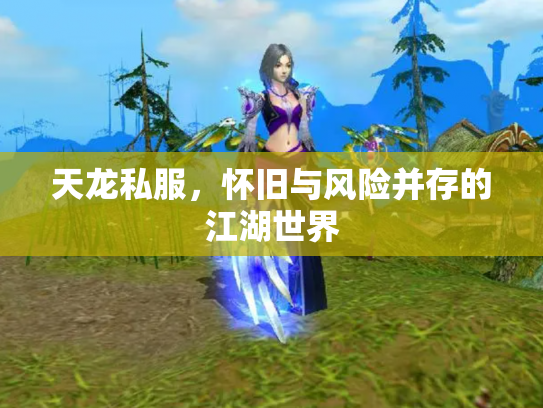天龙私服，怀旧与风险并存的江湖世界