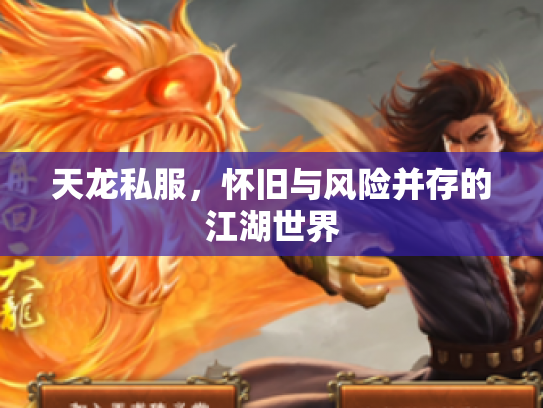 天龙私服，怀旧与风险并存的江湖世界