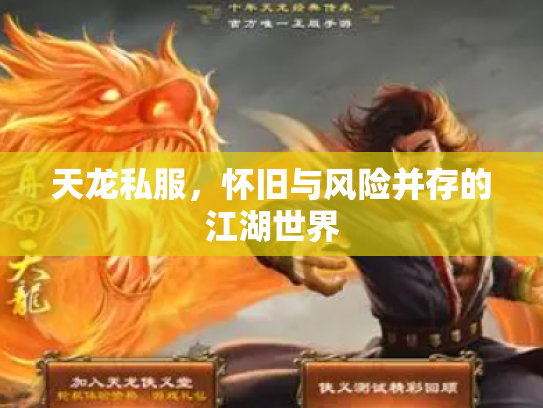 天龙私服，怀旧与风险并存的江湖世界
