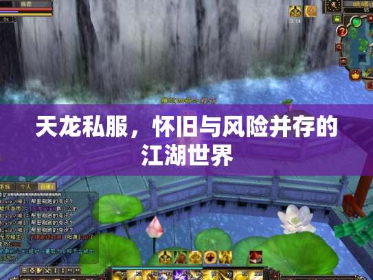 天龙私服，怀旧与风险并存的江湖世界
