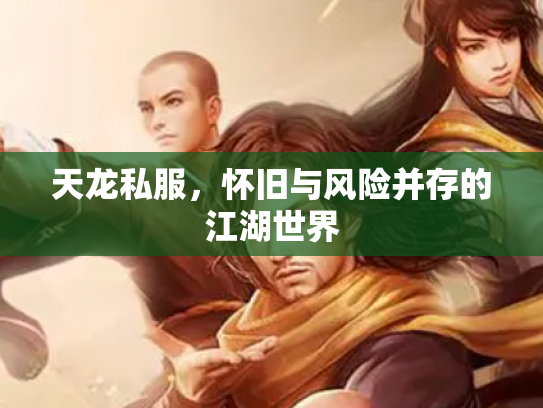 天龙私服，怀旧与风险并存的江湖世界