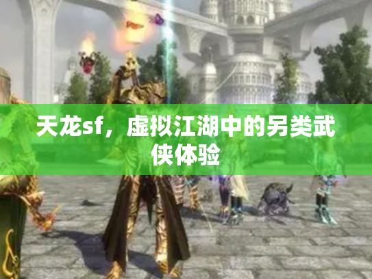 天龙sf，虚拟江湖中的另类武侠体验