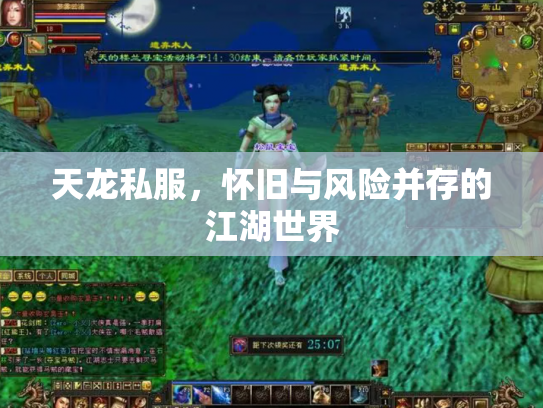 天龙私服，怀旧与风险并存的江湖世界