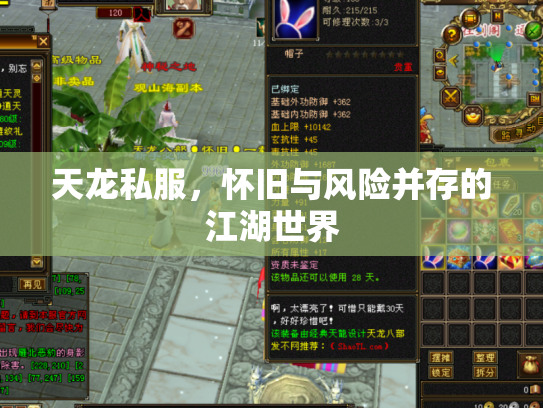 天龙私服，怀旧与风险并存的江湖世界