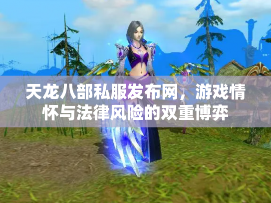 天龙八部私服发布网，游戏情怀与法律风险的双重博弈