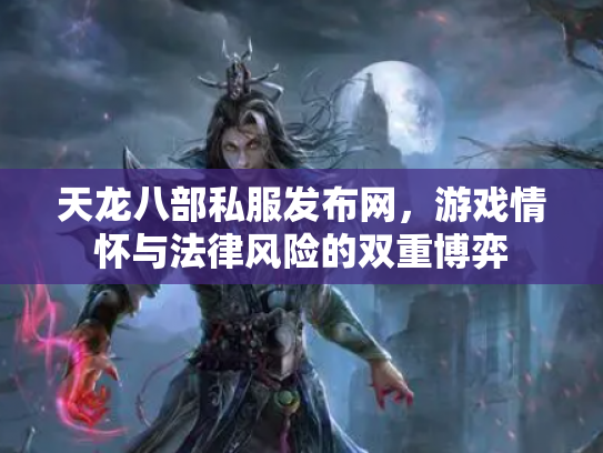 天龙八部私服发布网，游戏情怀与法律风险的双重博弈