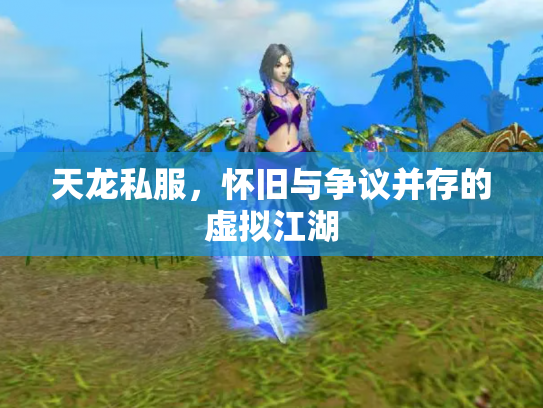 天龙私服，怀旧与争议并存的虚拟江湖