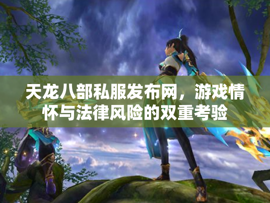天龙八部私服发布网，游戏情怀与法律风险的双重考验