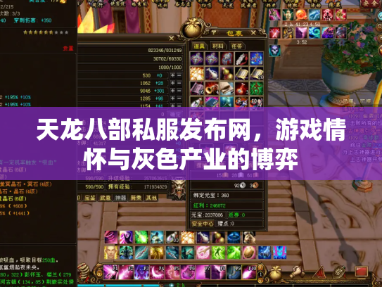 天龙八部私服发布网，游戏情怀与灰色产业的博弈