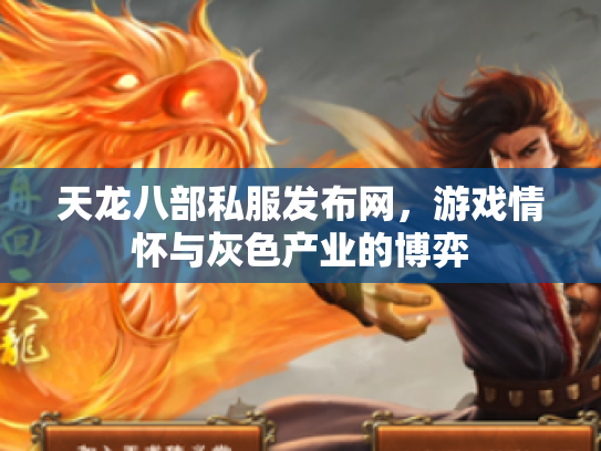 天龙八部私服发布网，游戏情怀与灰色产业的博弈