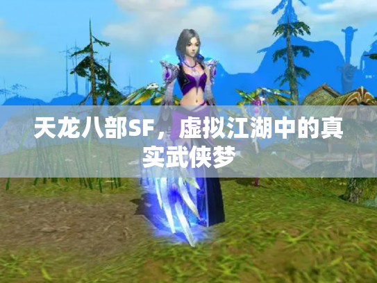 天龙八部SF，虚拟江湖中的真实武侠梦