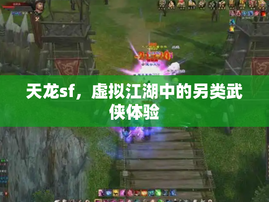 天龙sf，虚拟江湖中的另类武侠体验