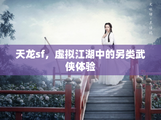 天龙sf，虚拟江湖中的另类武侠体验