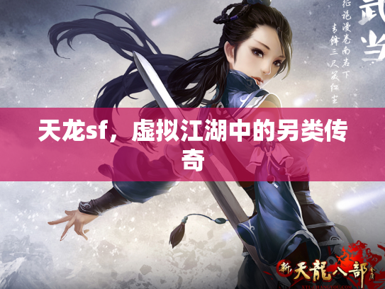 天龙sf，虚拟江湖中的另类传奇