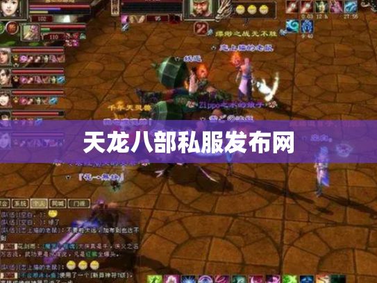 天龙八部私服发布网