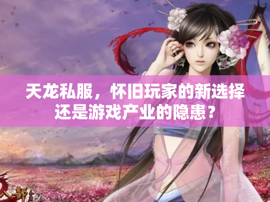 天龙私服，怀旧玩家的新选择还是游戏产业的隐患？