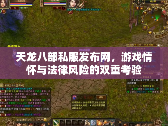 天龙八部私服发布网，游戏情怀与法律风险的双重考验