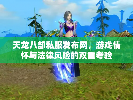 天龙八部私服发布网，游戏情怀与法律风险的双重考验