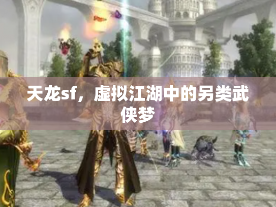 天龙sf，虚拟江湖中的另类武侠梦