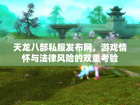 天龙八部私服发布网，游戏情怀与法律风险的双重考验
