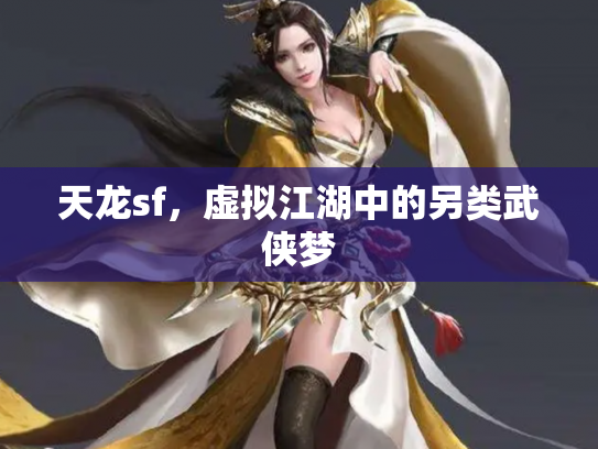 天龙sf，虚拟江湖中的另类武侠梦